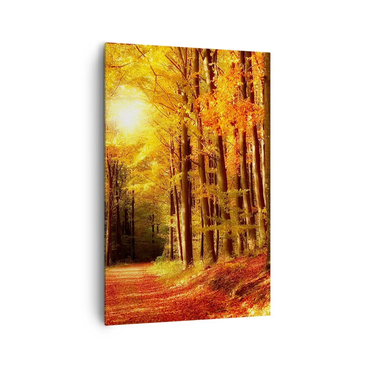 Schilderen op canvas - Gouden herfst op een bosweg - 80x120 cm