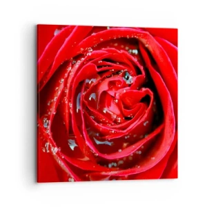 Schilderen op canvas - In de dauwdruppels - 70x70 cm