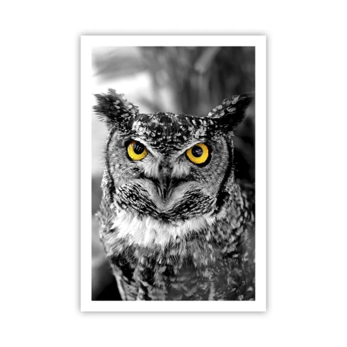 Poster - Niets zal zich verbergen - 61x91 cm