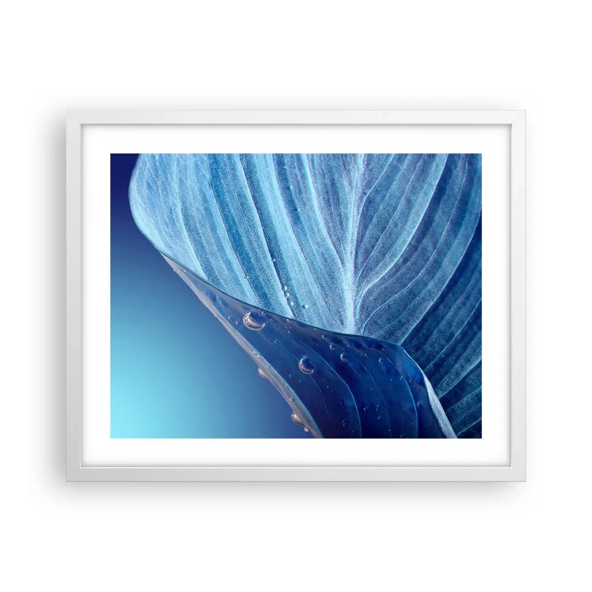 Poster in een witte lijst - Verborgen druppels blauw - 50x40 cm