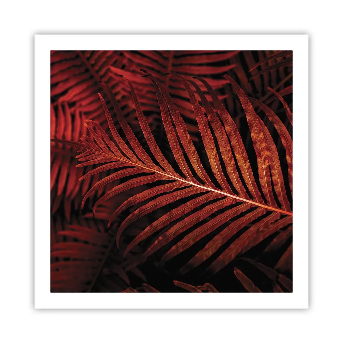 Poster - De hitte van het leven - 60x60 cm