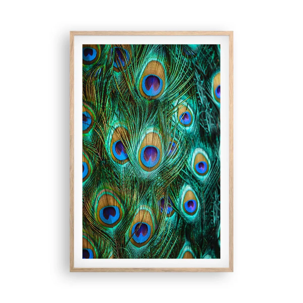 Een poster in een licht eiken lijst - Een pauwenooglook - 61x91 cm
