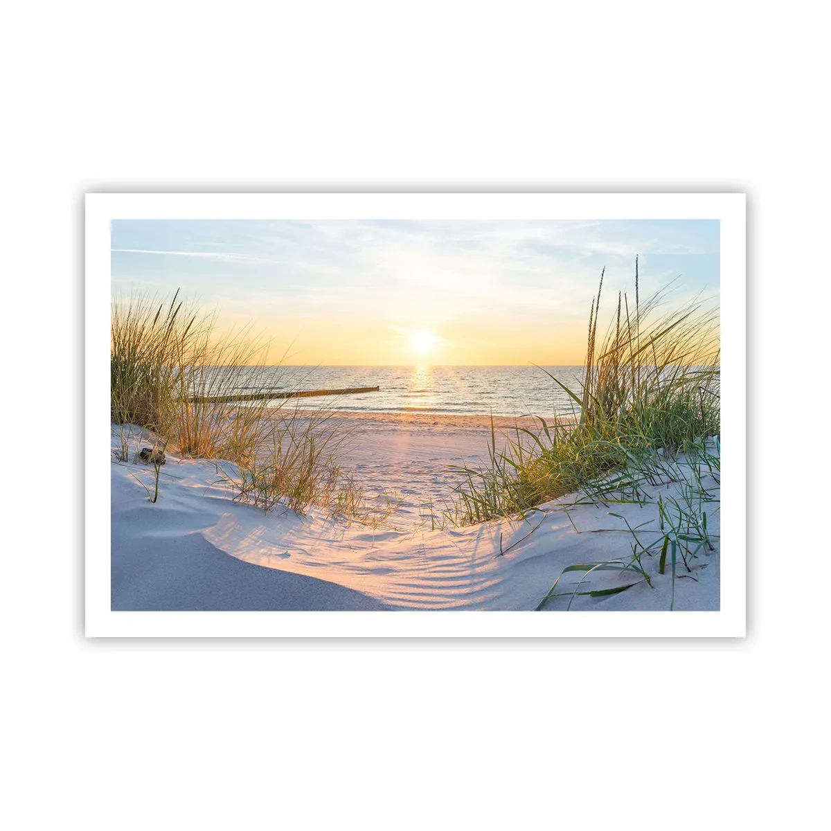 Poster - Het geluid van de zee, het zingen van vogels, een wild strand tussen het gras... - 91x61 cm