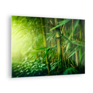 Schilderen op glas - Groen bamboebos in de zon - 70x50cm - Maak kennis met groen zelf - Moderne wanddecoratie voor woonkamer en slaapkamer ARTTOR
