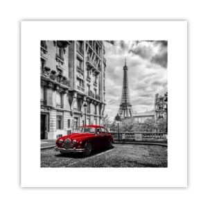 Poster - Roofdier in de stad - 30x30 cm