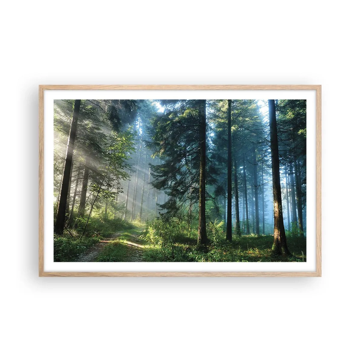 Een poster in een licht eiken lijst - Stralend in de ochtend - 91x61 cm