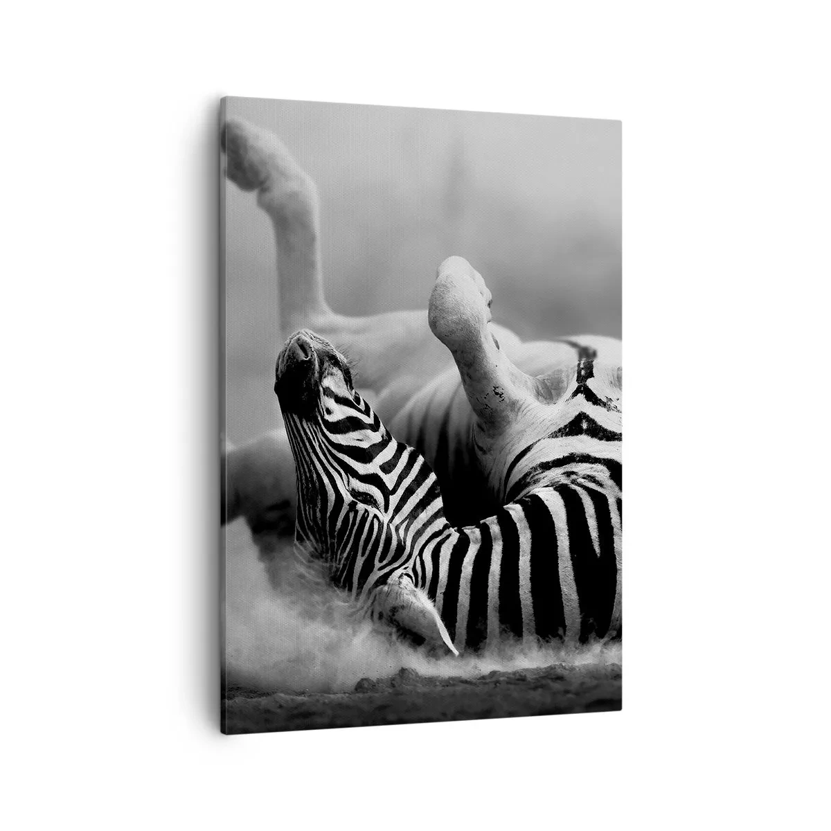 Schilderen op canvas - Niet alleen het paard zou lachen - 50x70 cm