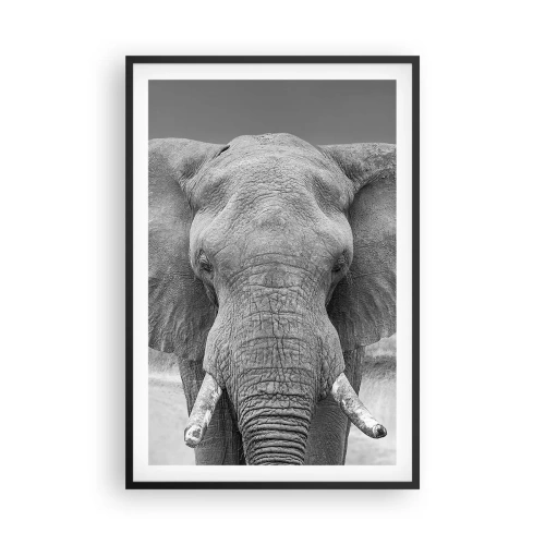 Poster in een zwarte lijst - Welkom in mijn wereld - 61x91 cm