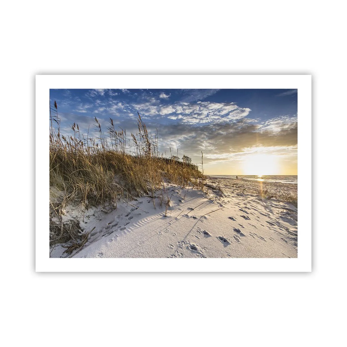 Poster - Een uitnodiging voor een wandeling - 70x50 cm