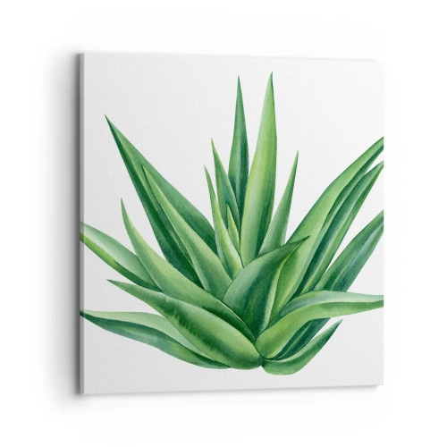 Schilderen op canvas - Groen – kracht – leven - 70x70 cm