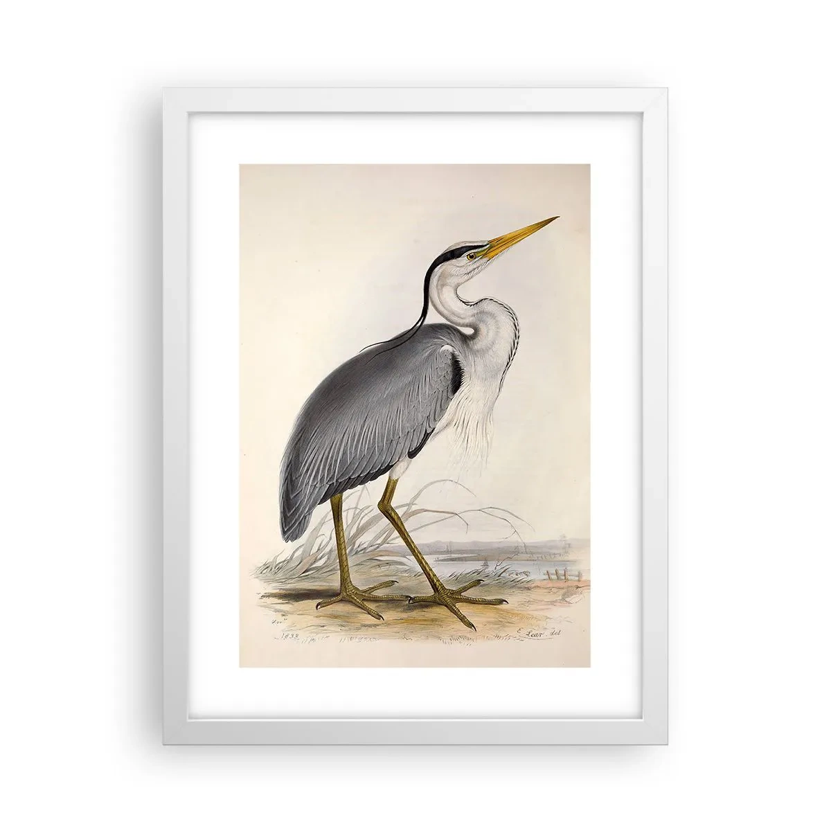 Poster in een witte lijst - Charmes van de reiger - 30x40 cm
