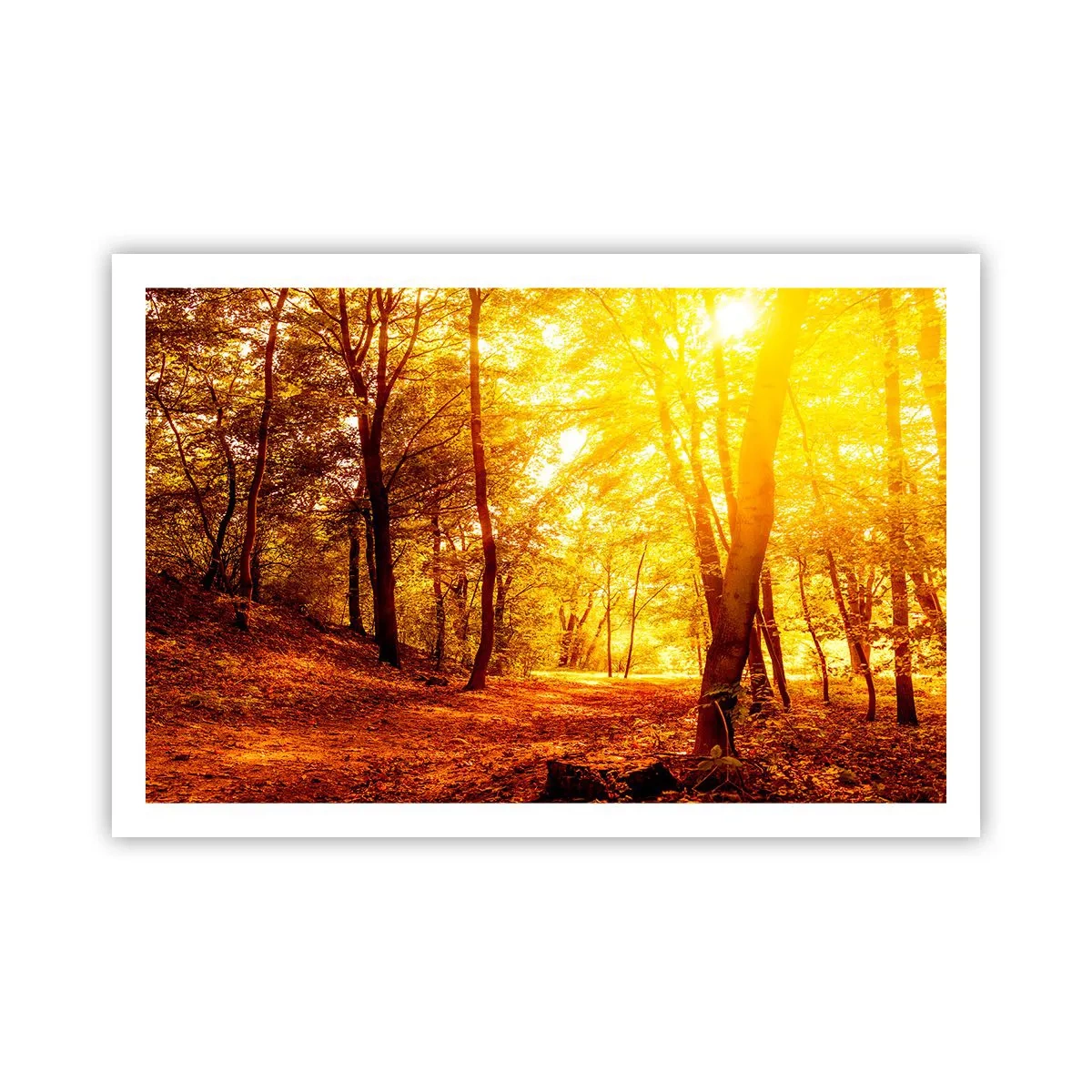 Poster - Op weg naar de gouden open plek - 91x61 cm