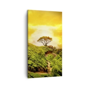 Schilderen op canvas - Een kronkelend pad, een groene helling - 45x80 cm