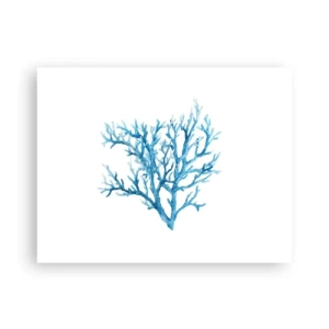 Poster - Nautische filigraan - 40x30 cm