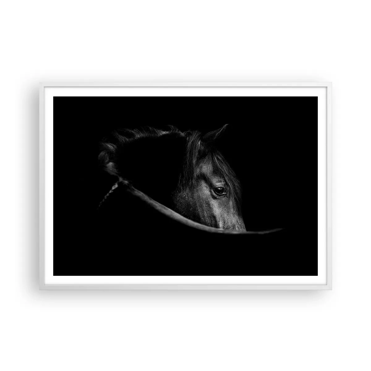 Poster in een witte lijst - Zwarte Prins - 100x70 cm