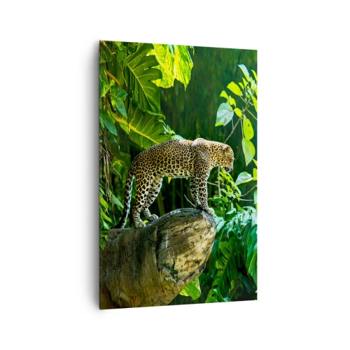 Schilderen op canvas - Op jacht? - 80x120 cm