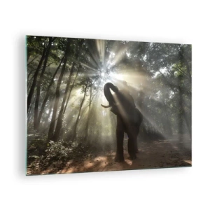Schilderen op glas - Een olifant in een bos verlicht door zonlicht - 70x50cm - Onder de gelukkige ster - Moderne wanddecoratie voor woonkamer en slaapkamer ARTTOR