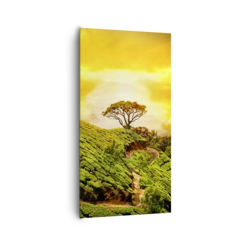 Schilderen op canvas - Een kronkelend pad, een groene helling - 65x120 cm