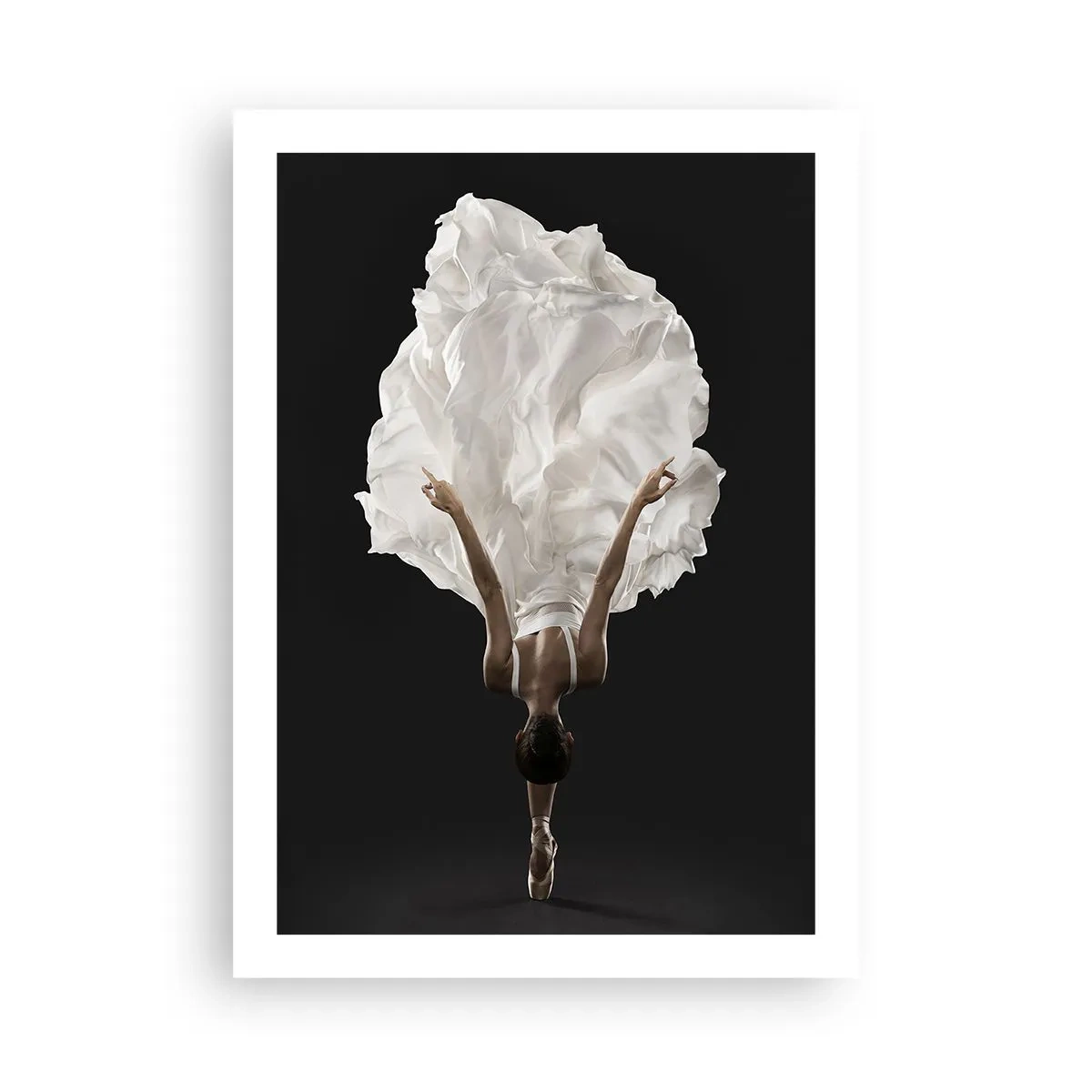 Poster - Een buitengewoon einde - 50x70 cm