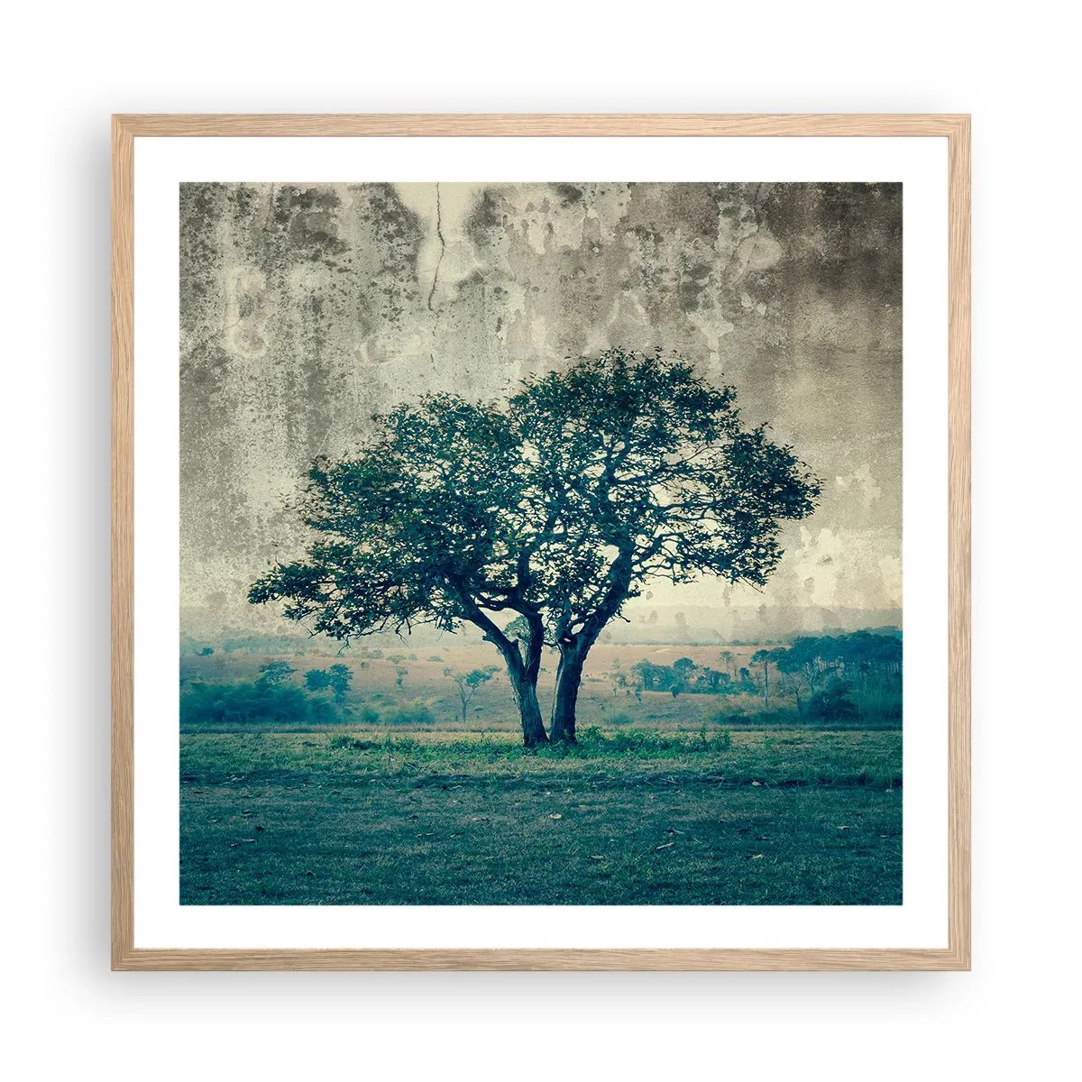 Een poster in een licht eiken lijst - Een appelboom op een blauw veld? - 60x60 cm