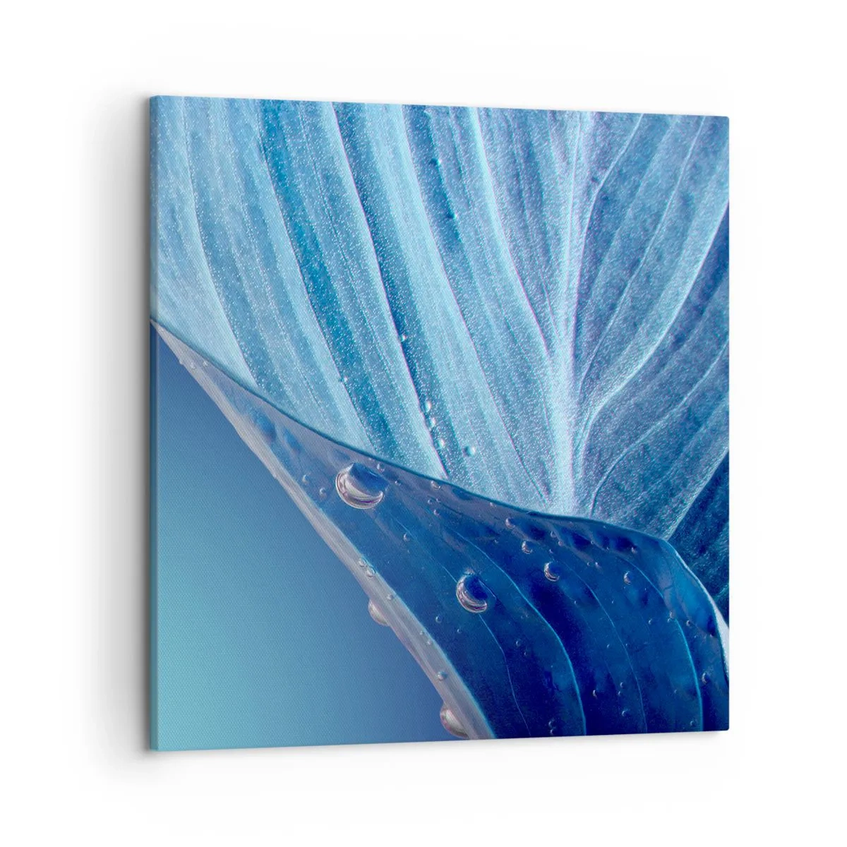 Schilderen op canvas - Verborgen druppels blauw - 50x50 cm