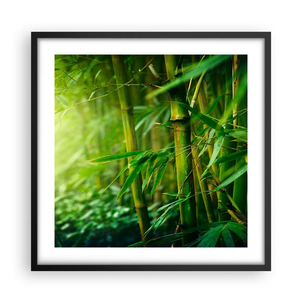 Poster in een zwarte lijst - Maak kennis met groen zelf - 50x50 cm