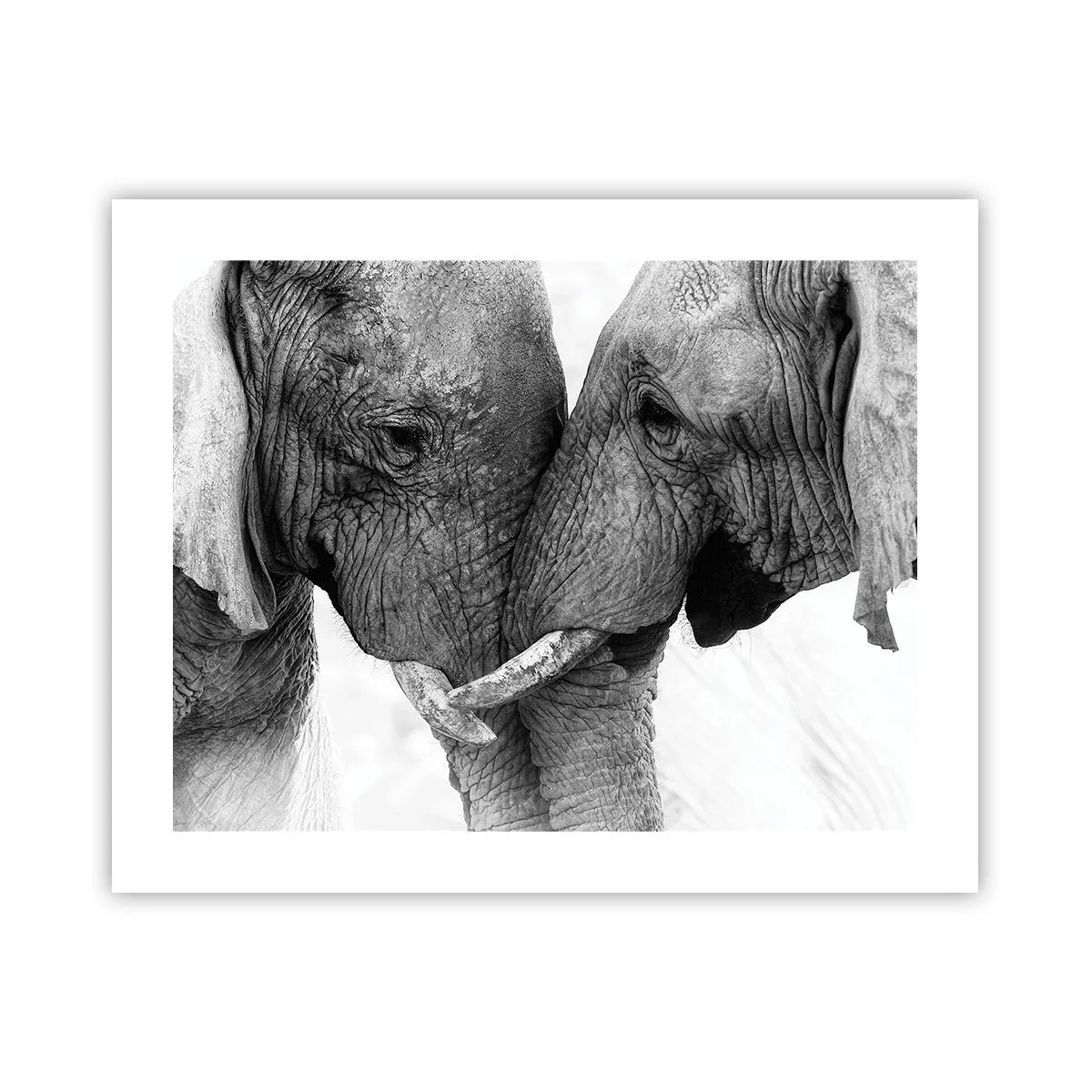 Poster - Oprechte bekentenis - 50x40 cm