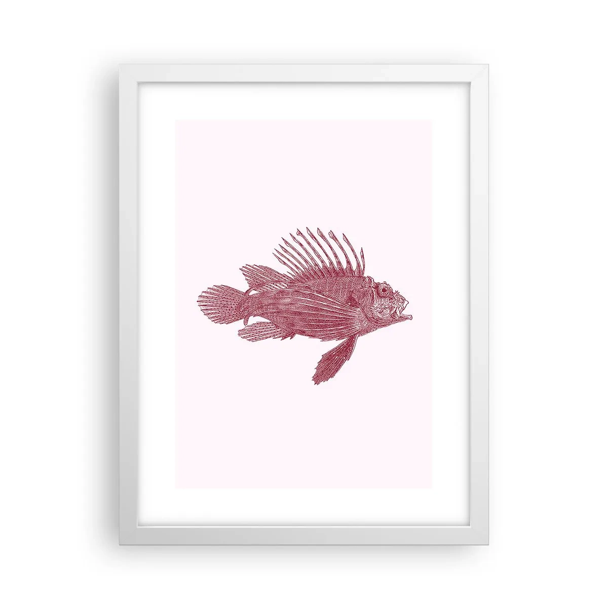 Poster in een witte lijst - Inwoner van exotische wateren - 30x40 cm