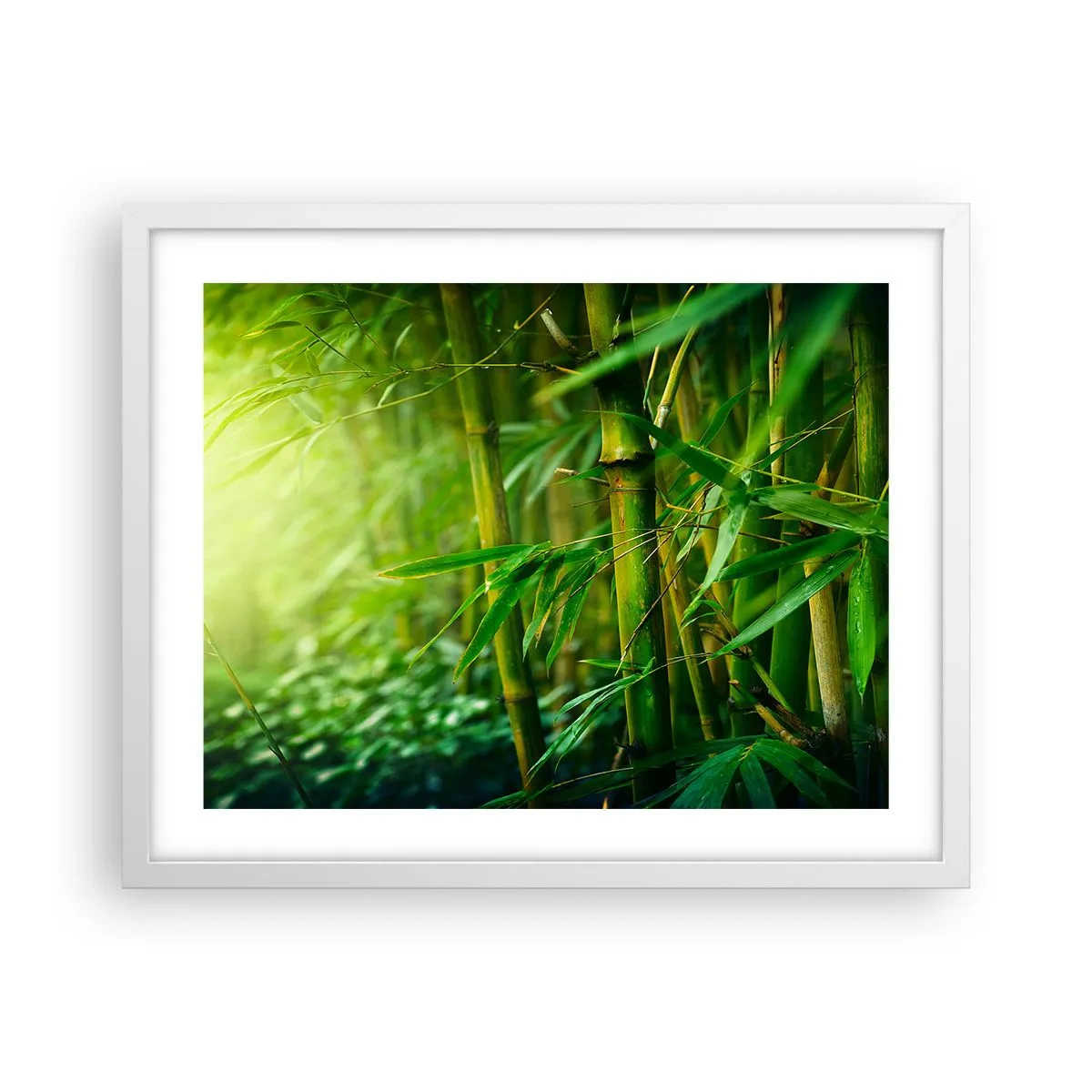 Poster in een witte lijst - Maak kennis met groen zelf - 50x40 cm