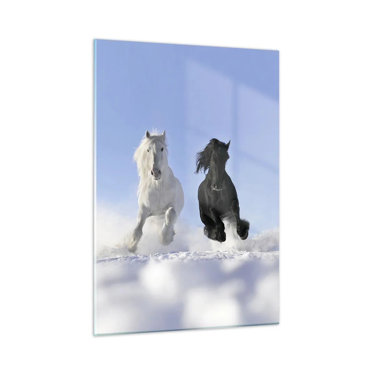 Schilderen op glas - Zwart-wit galop - 50x70 cm