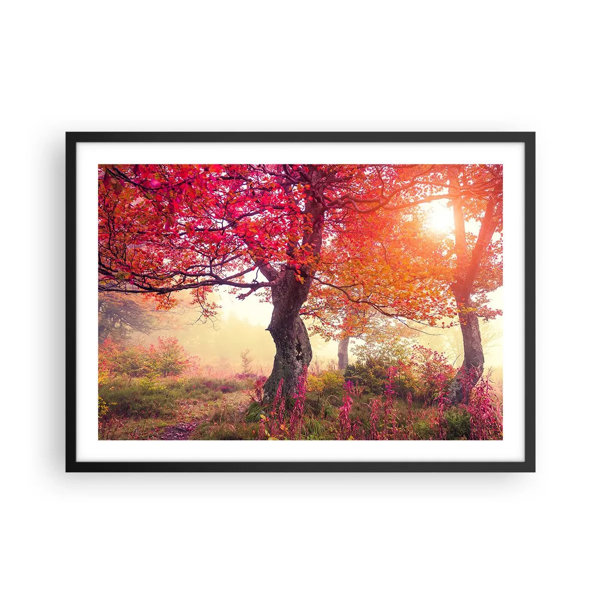 Poster in een zwarte lijst - Bloeiende razernij - 70x50 cm
