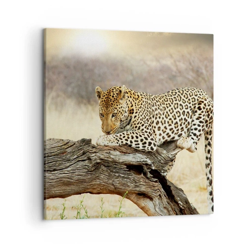 Schilderen op canvas - Ik ga mijn eigen weg - 50x50 cm