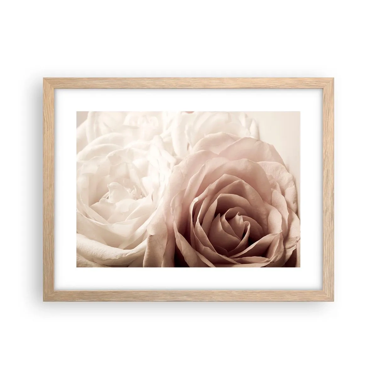 Een poster in een licht eiken lijst - In het hart van een roos - 40x30 cm