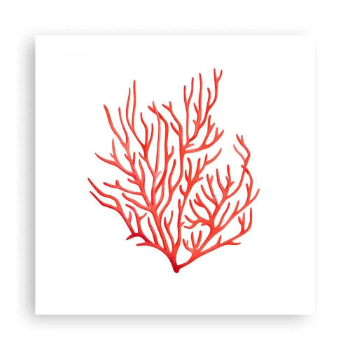 Poster - Koraal filigraan - 50x50 cm