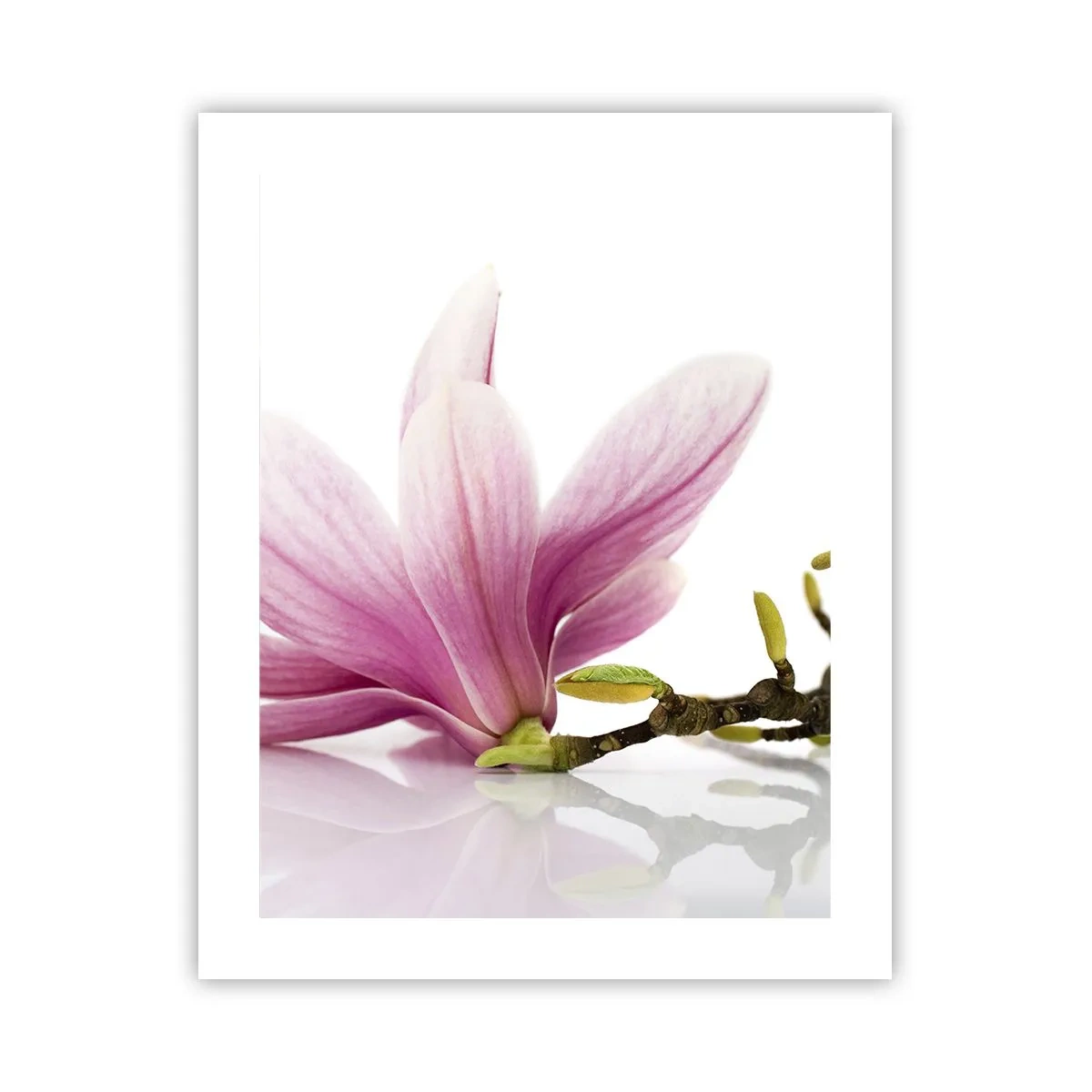 Poster - Delicaat als een lentebriesje - 40x50 cm