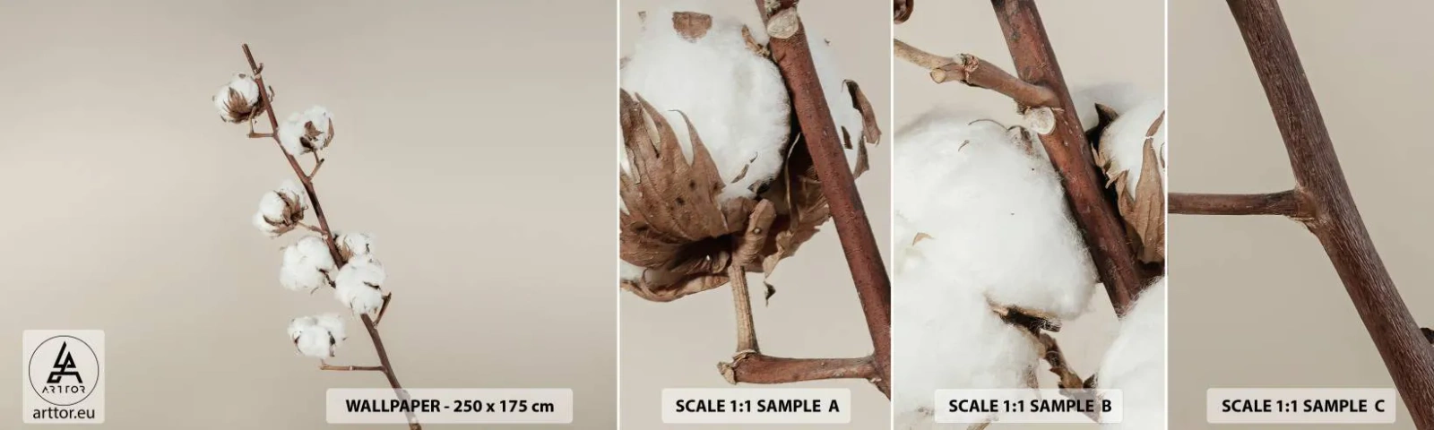 Fotobehang Staaltje Standard Eco - Aan de bron van zachtheid - Katoenen bloem, Natuur, Katoen - 100x30 cm