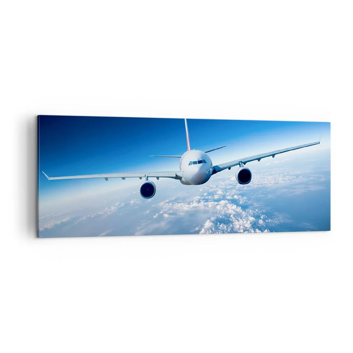 Schilderen op canvas - Ik vlieg omdat ik dat wil - 140x50 cm