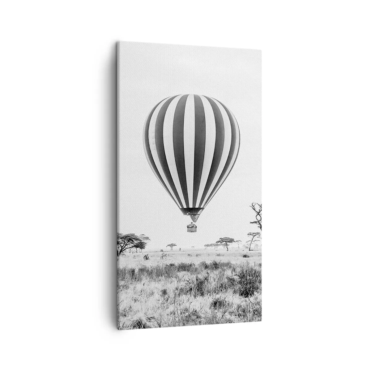 Schilderen op canvas - Boven de savanne - 45x80 cm