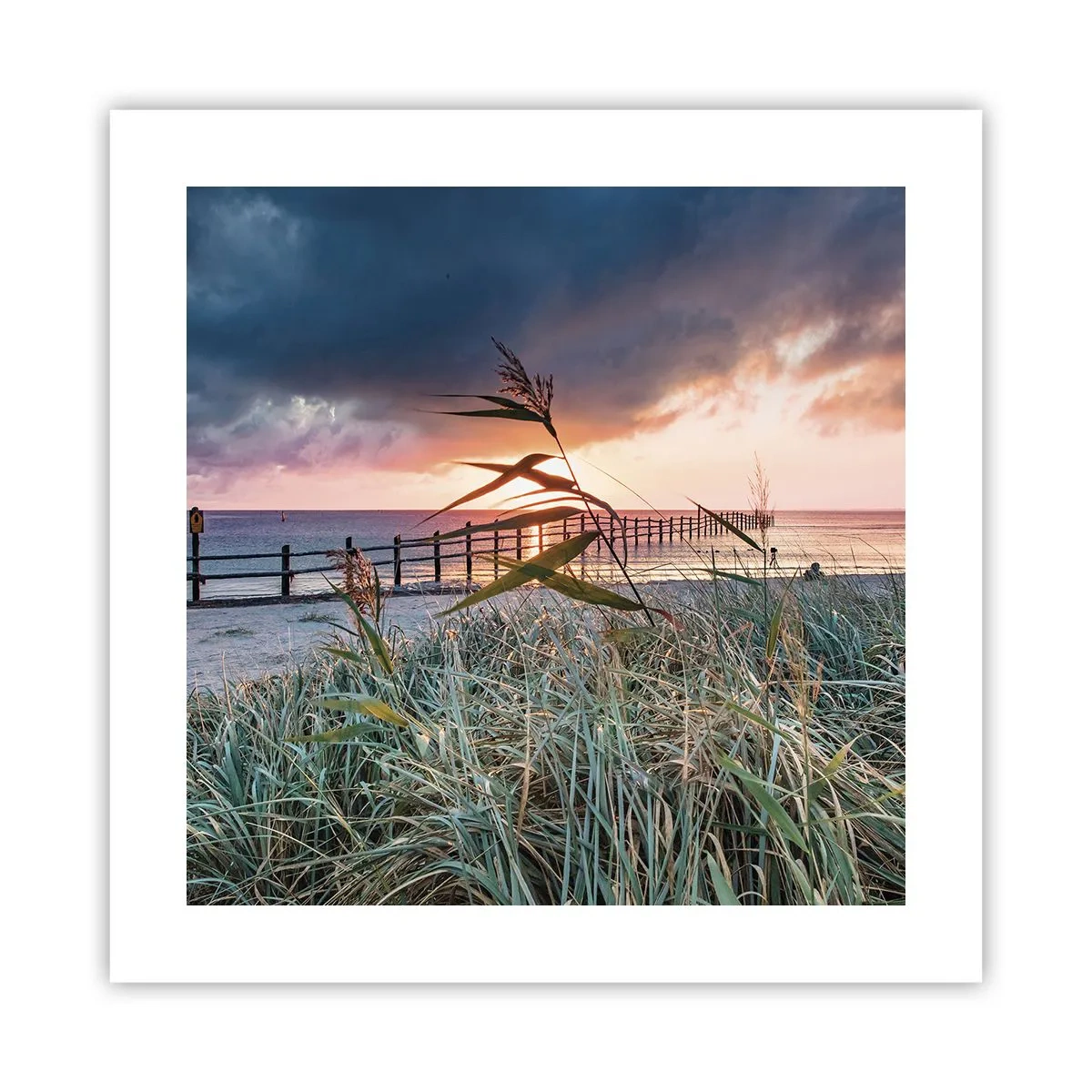 Poster - Het gaat niet met de wind mee - 40x40 cm