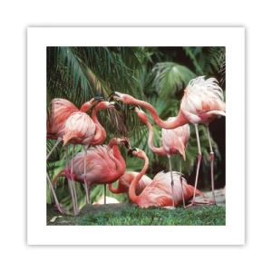 Poster - Middag roddels - 40x40 cm