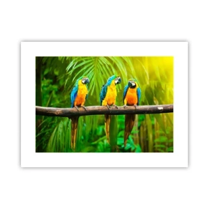 Poster - En heb je gehoord dat ze...? - 40x30 cm