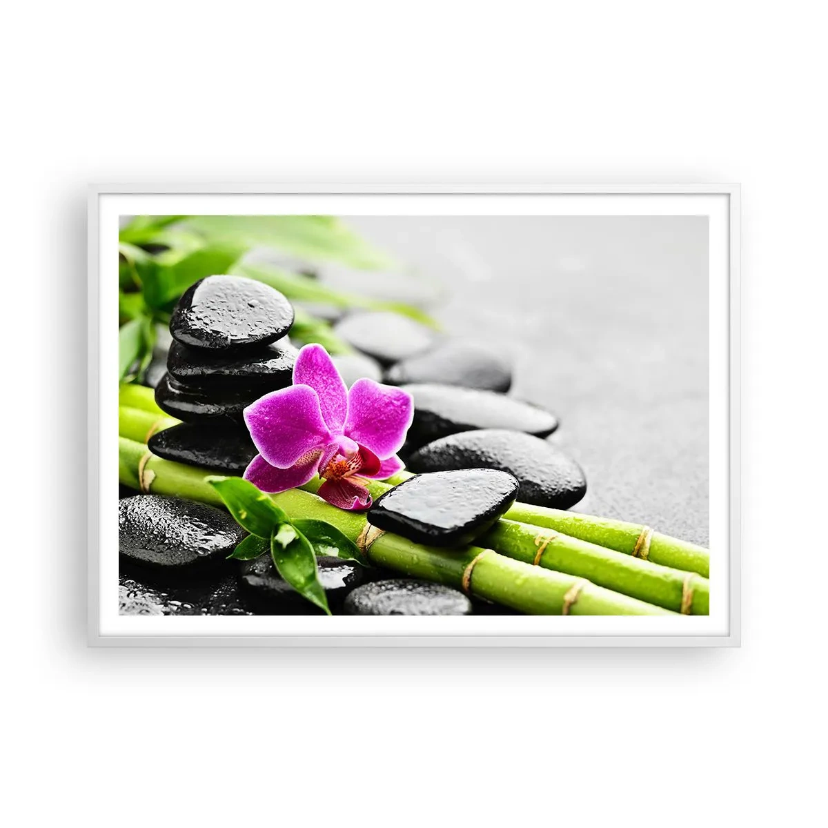 Poster in een witte lijst - In een vrede evenwicht - 100x70 cm