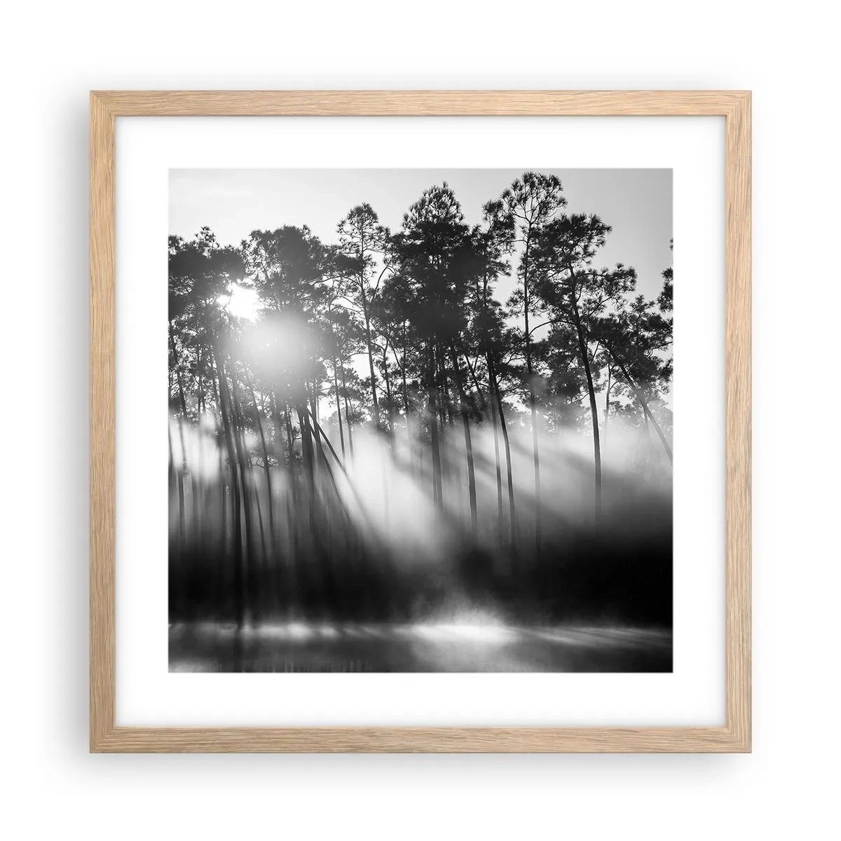 Een poster in een licht eiken lijst - Niet te stoppen zon - 40x40 cm