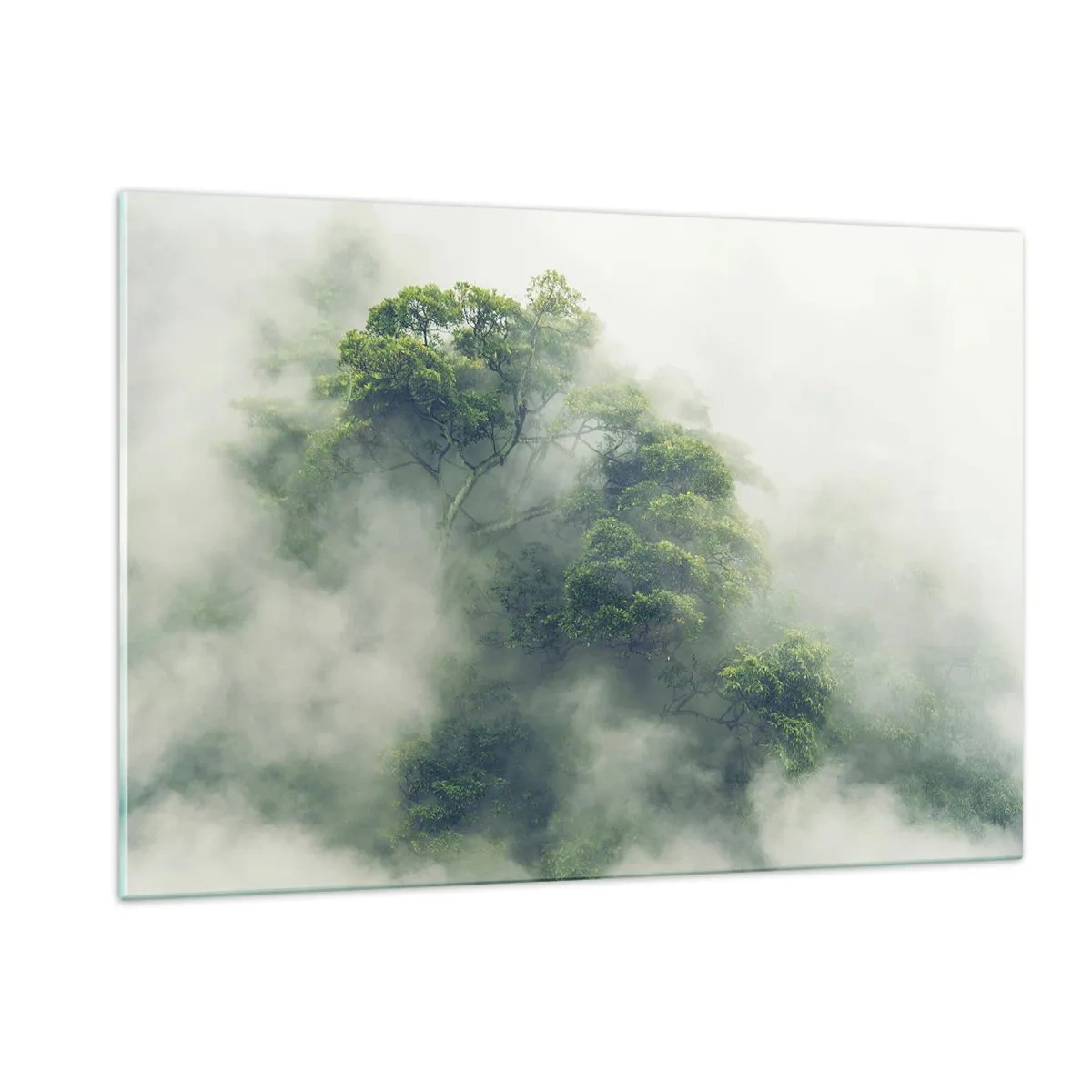 Schilderen op glas - In mist gehuld - 120x80 cm