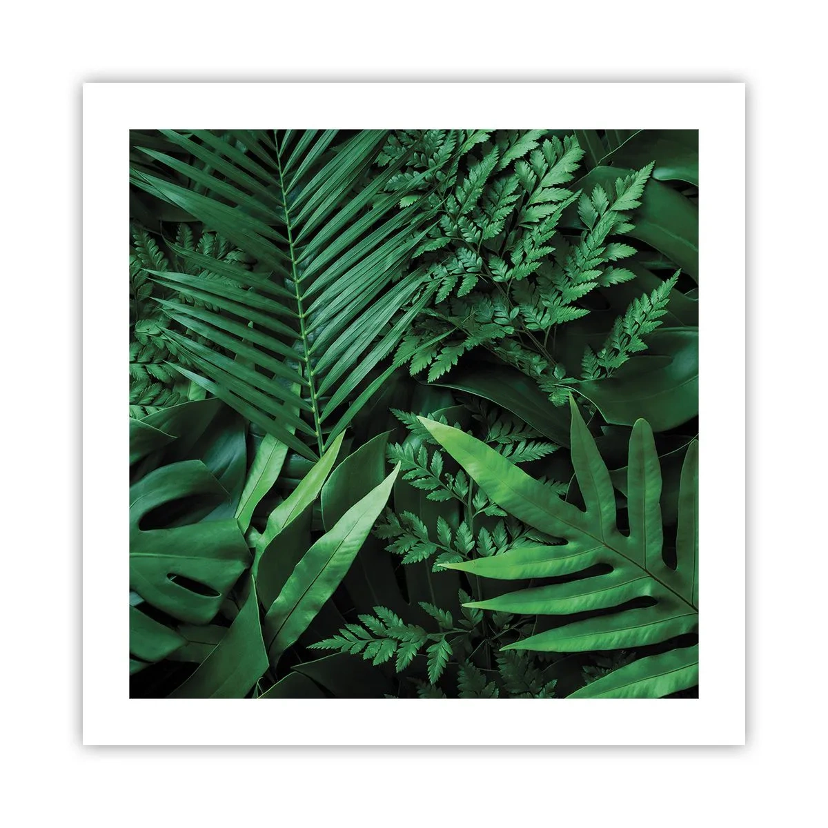 Poster - Ineengedoken in het groen - 50x50 cm