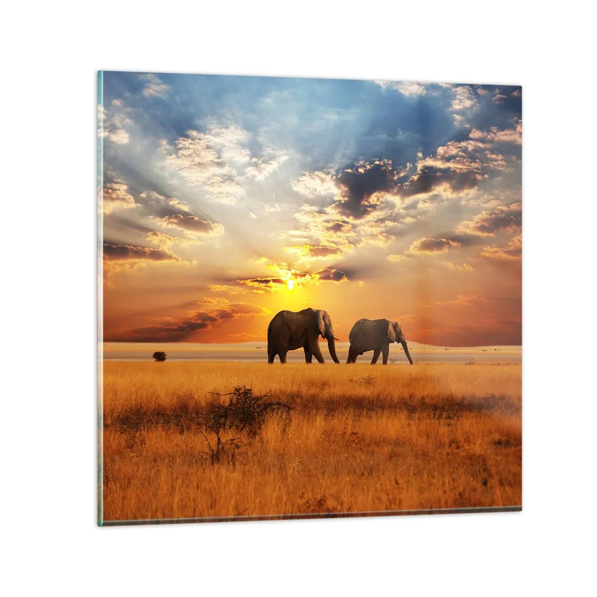 Schilderen op glas - Familie wandeling - 60x60 cm