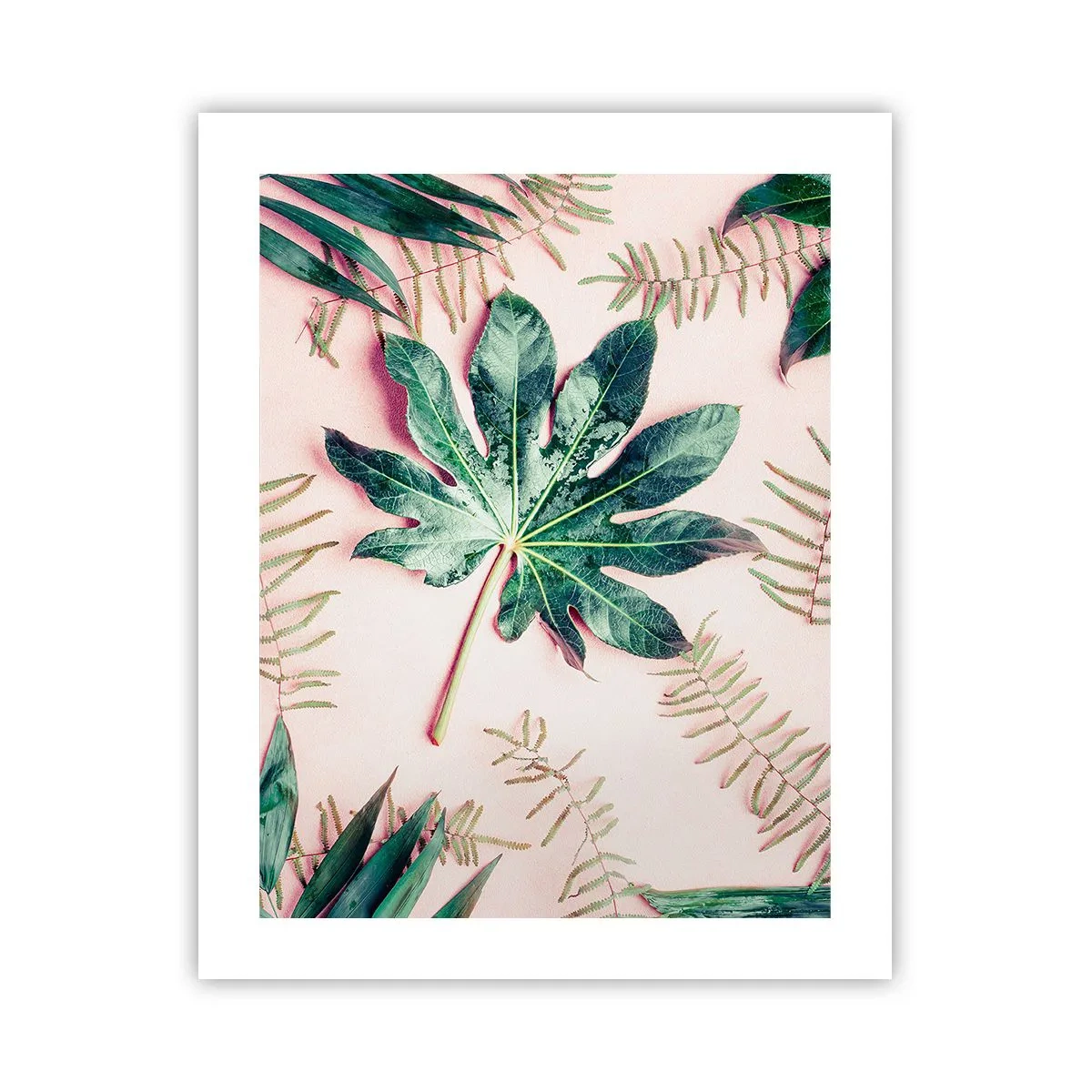 Poster - Een studie van groen op een roze achtergrond - 40x50 cm