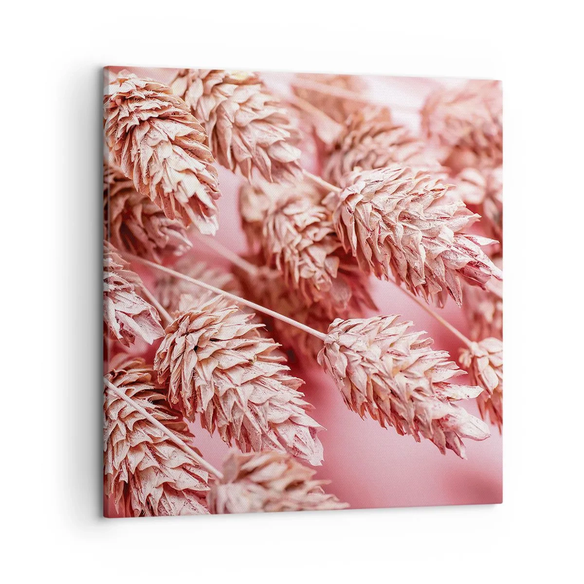 Schilderen op canvas - Een bloemencascade in roze - 50x50 cm