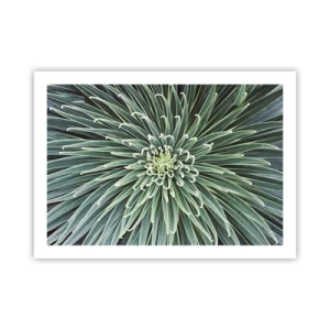 Poster - Een ster is geboren - 70x50 cm