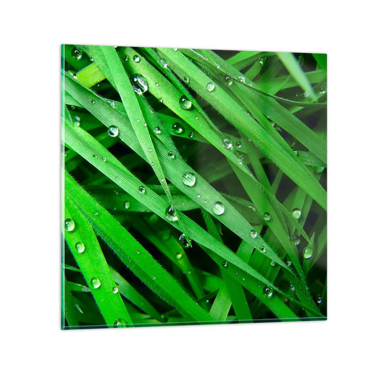 Schilderen op glas - Speel groen - 50x50 cm